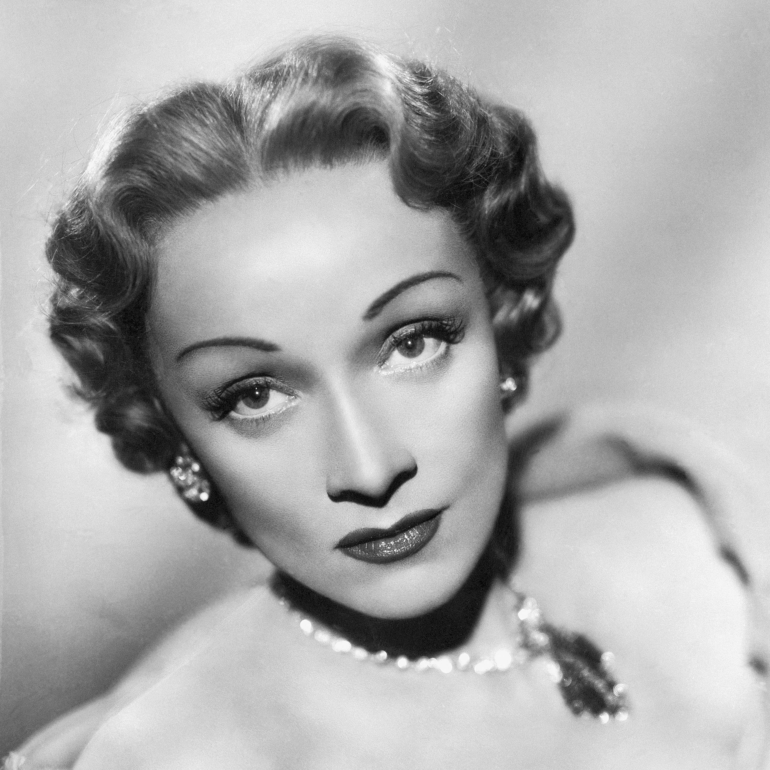 search image 2 Marlene Dietrich 2