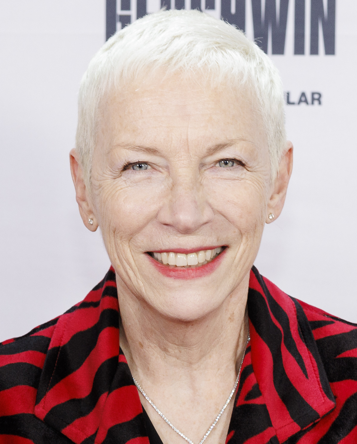 search image 2 Annie Lennox Vermögen : Wie wohlhabend ist die Sängerin ? 2