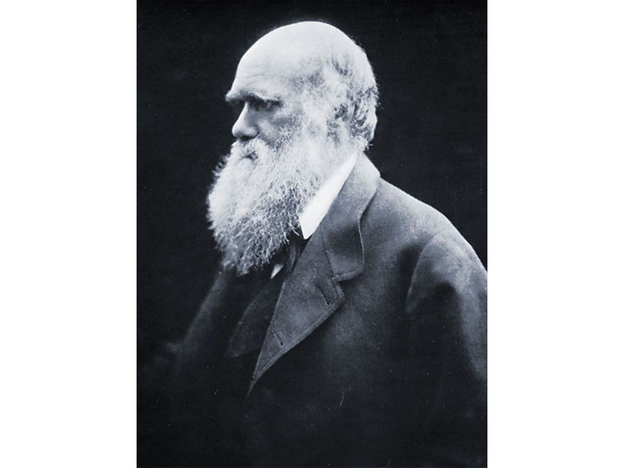 search image 2 Charles Darwin 2