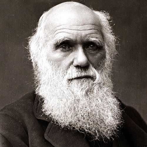 Charles Darwin - scrap_google_ccl